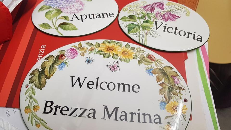 Brezza Marina Bed & Breakfast Marina Di Carrara Dış mekan fotoğraf
